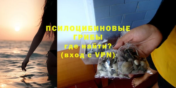 a pvp Горно-Алтайск