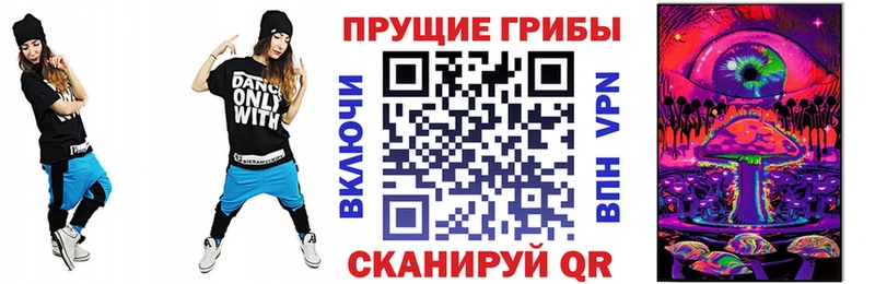 Псилоцибиновые грибы мицелий где купить наркотик Нязепетровск