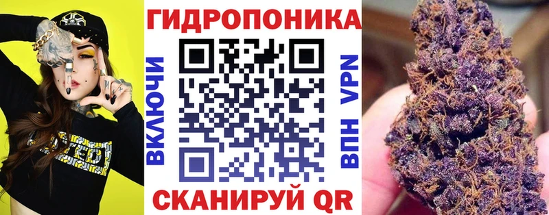 Шишки марихуана White Widow ОМГ ОМГ как войти Нязепетровск
